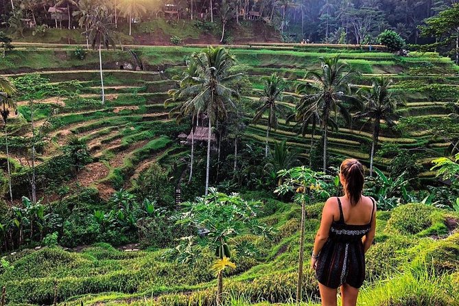Private Bali Tour: Wonderful Ubud With Swing - Cancellation Policy