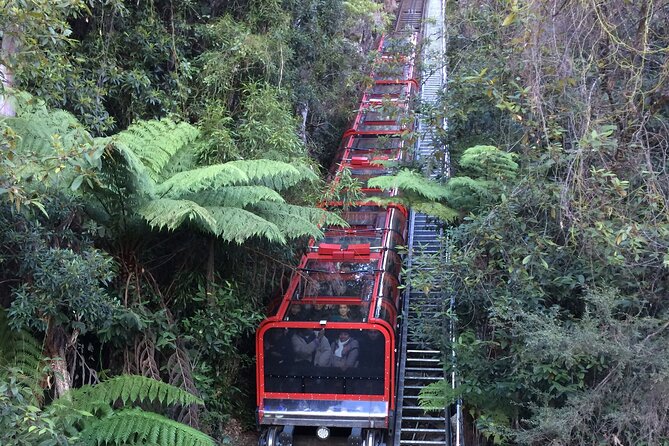 PRIVATE Blue Mountains Day Tour From Sydney With Wildlife Park and River Cruise - Customer Reviews