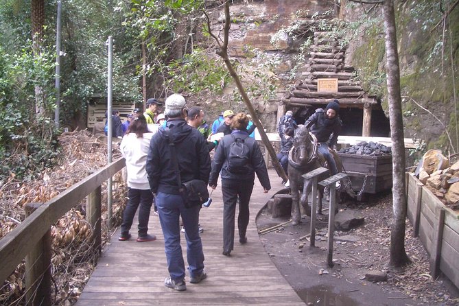 PRIVATE Blue Mountains Tour With Expert Guide - Legal Information and Terms
