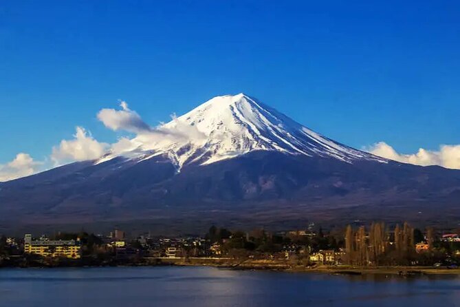 Private Car/Van Charter Full Day Tour MT Fuji And Hakone, (Guide) - Additional Resources