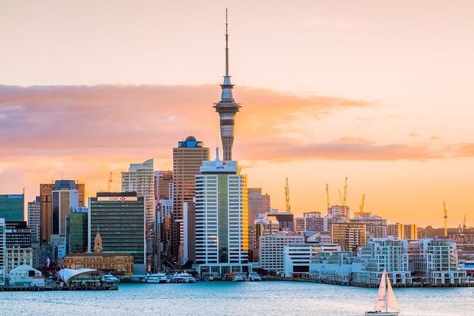 Private Custom Tour With a Local Guide Auckland - Meeting, Pickup, and Cancellation Policy