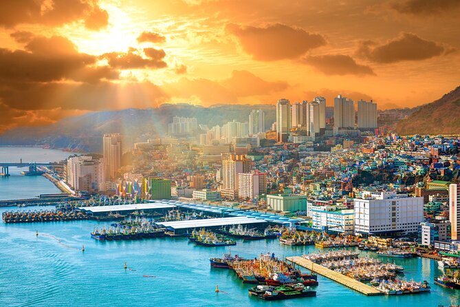 Private Custom Tour With a Local Guide in Busan - Mobile Ticket and Pickup Services