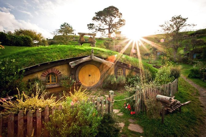 Private Day Trip Transport To Hobbiton - Reviews Overview