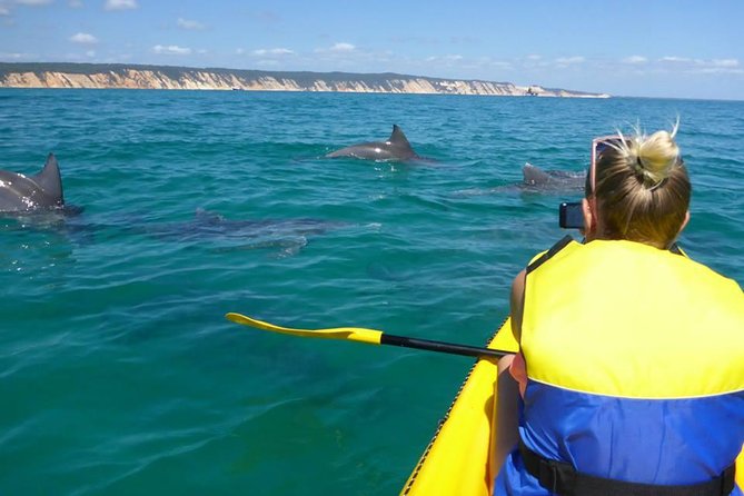 Private Double Island Wildlife Tour - Noosa - Additional Tour Information