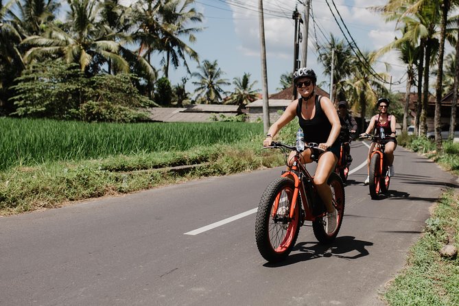 Private Fat Tire E-Bike Tour in Ubud - Traveler Photos