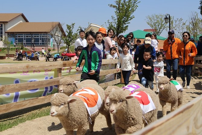 Private Full Day Tour Anseong Farm Land With Gwangmyeong Cave - Inclusions and Exclusions