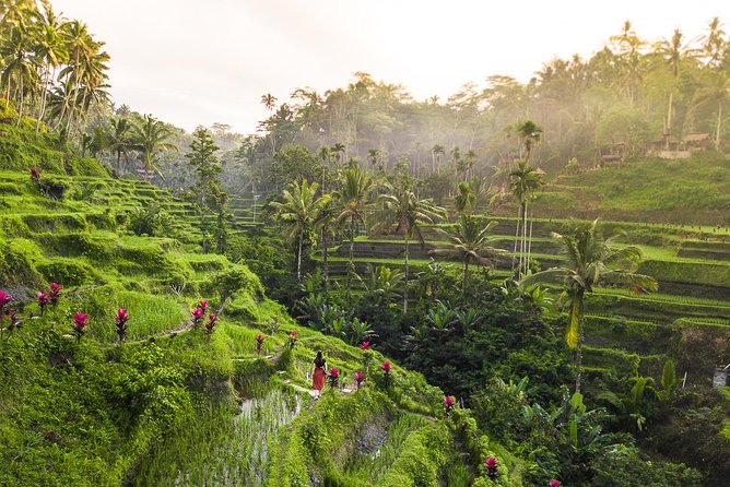 Private Full-Day Tour: Balinese Temples and Rice Terraces - Practical Tips for a Smooth Tour