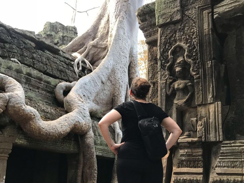 Private Guide: 1-Day Tour to Angkor Wat - Insurance Information