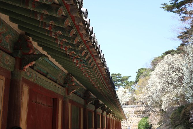 Private Gyeongju Tour: Seokguram Grotto, Bulguksa Temple  - Busan - Customer Reviews