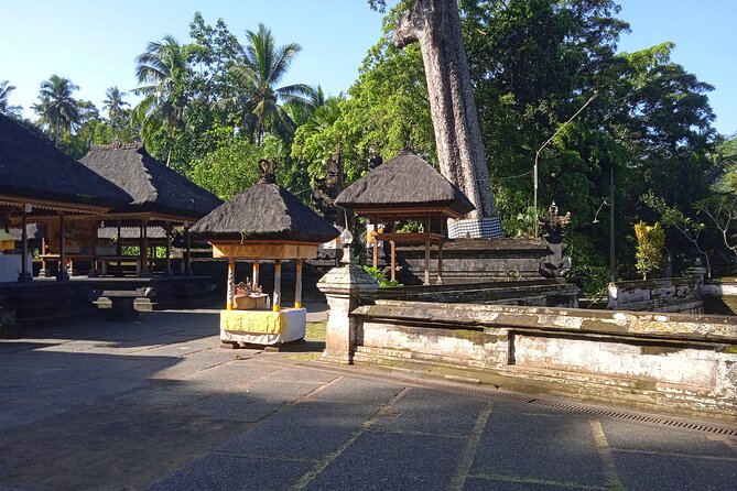 Private Half Day Heritage and Cultural Ubud Tour - All Inclusive - Tour Guide Information