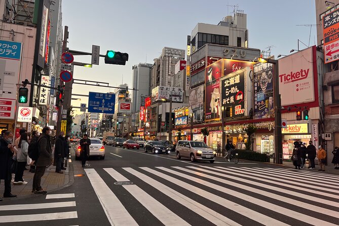 Private Half-Day Tour Colorful and Busy Street in Central Tokyo - Shopping and Souvenir Recommendations