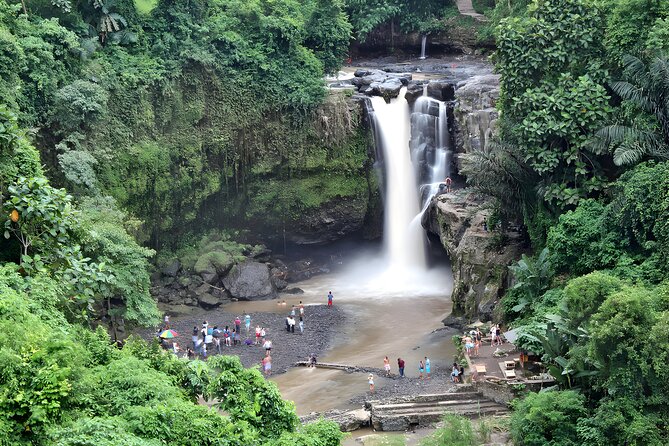 Private Half-Day Tour : Ubud Waterfall Tour With Lunch Packages - Customer Reviews