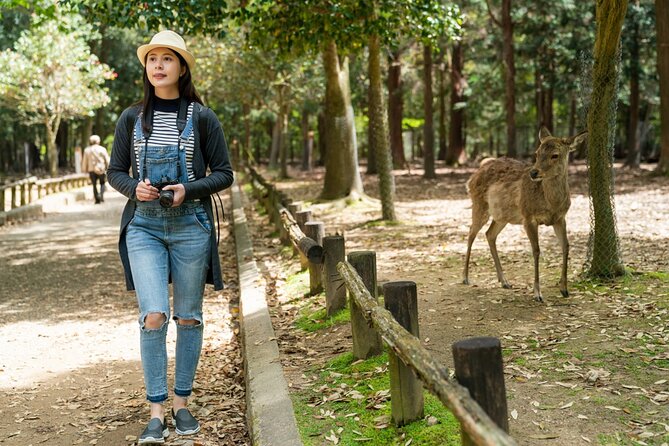 Private Journey in Nara's Historical Wonder - Tips for a Memorable Visit