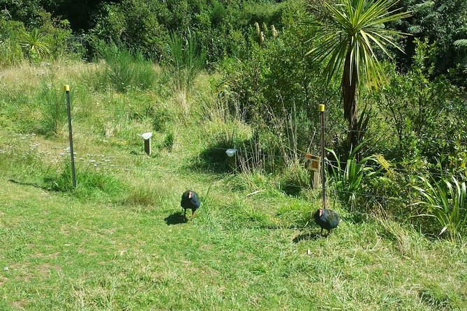 Private Kapiti Coast Full Day Tour - Common questions