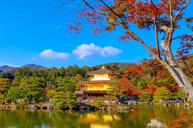 Private Kyoto Day Trip With English Speaking Driver - Customized Itinerary Options