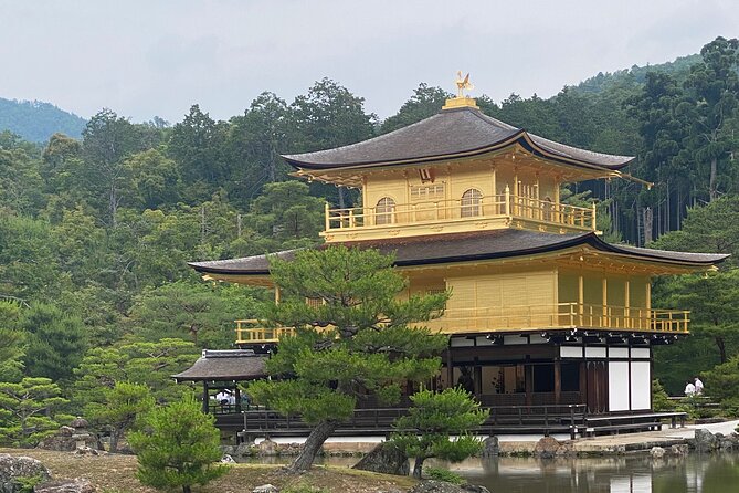 Private Kyoto-Nara Tour From Osaka With Hotel Pickup and Drop off - Customer Reviews