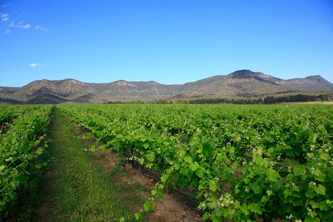 Private Luxury Tour: Tastes of the Hunter Valley - Transportation Details
