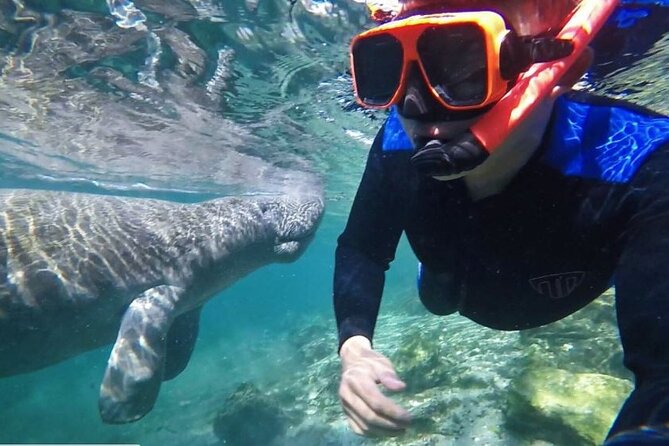 Private Manatee Tour for up to 10 - Duration and Activities Included