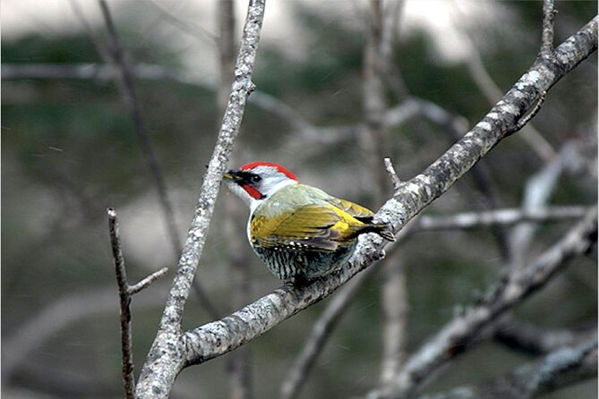 Private Morning Hike Around Nikko Toshogu Shrine - Weather Considerations