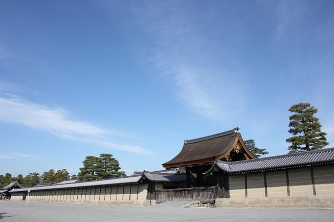 Private Nijo Castle Sightseeing and Nishiki Food Tour - Private Tour Inclusions
