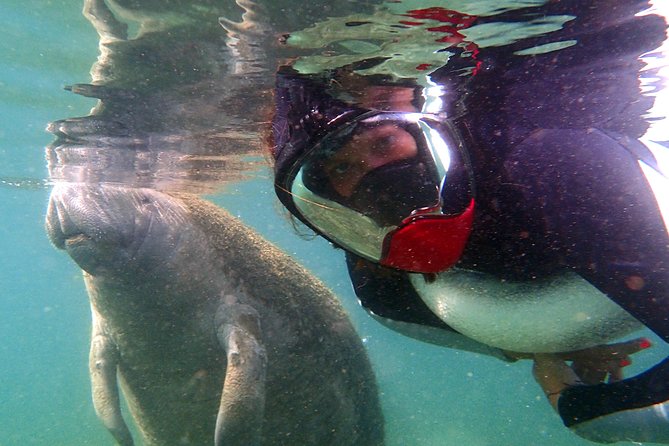 Private OG Manatee Snorkel Tour With Guide for up to 10 People - Customer Reviews