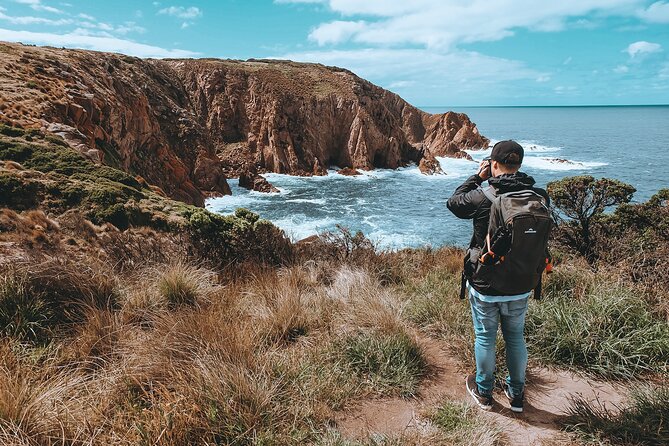 Private Phillip Island & Penguin Parade Hiking Tour From Melbourne - Reviews and Ratings Overview