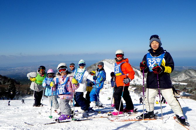 Private Ski Lesson for Family or Group(Transport Included ) - Booking Process
