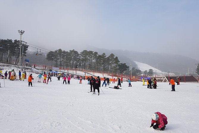 PRIVATE SKI TOUR in Pyeongchang Olympic Ski Resort(More Members Less Cost) - Tour Specifics and Highlights