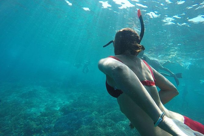 Private Snorkeling Trip (Depart Gili T),Gili Trawangan, Gili Meno, - Common questions