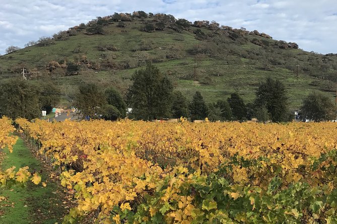 Private Sonoma and Napa Wine Tour From San Francisco - Overall Experience and Recommendations