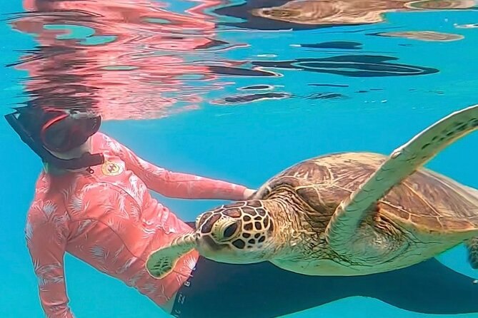 Private Swimming and Snorkeling Tour With Sea Turtles in Amami - Operational Information