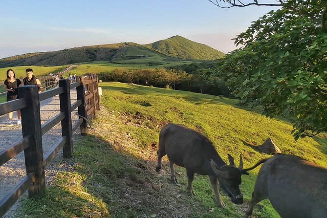 Private Taipei Yangmingshan Half-Day Hiking Tour - Safety Precautions