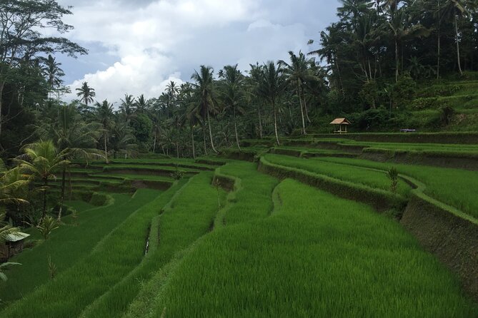Private Tour: Bali Heritage Sites - Itinerary Highlights