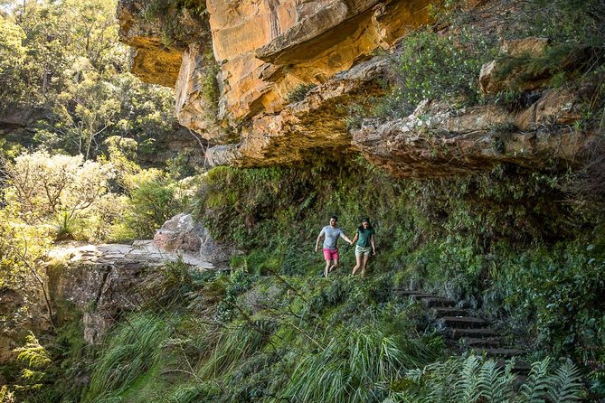 Private Tour: Blue Mountains Hiking & Nature - Group Size Pricing