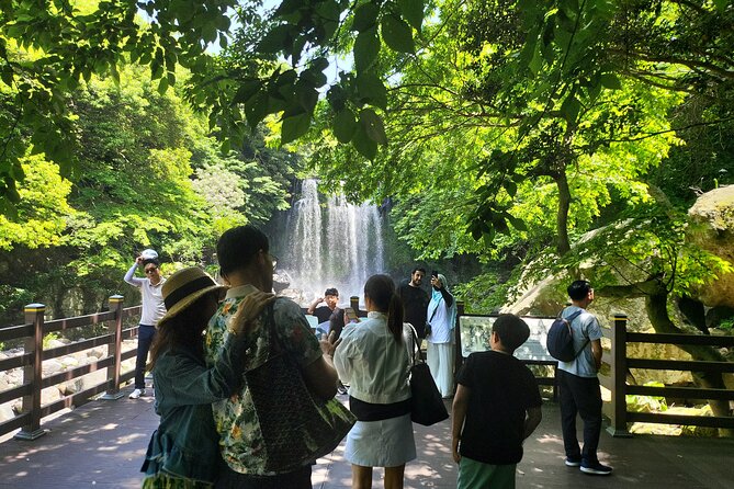 Private Tour Cheonjeyeon Falls & Osulloc Museum in Jeju Island - Expert Tour Guides