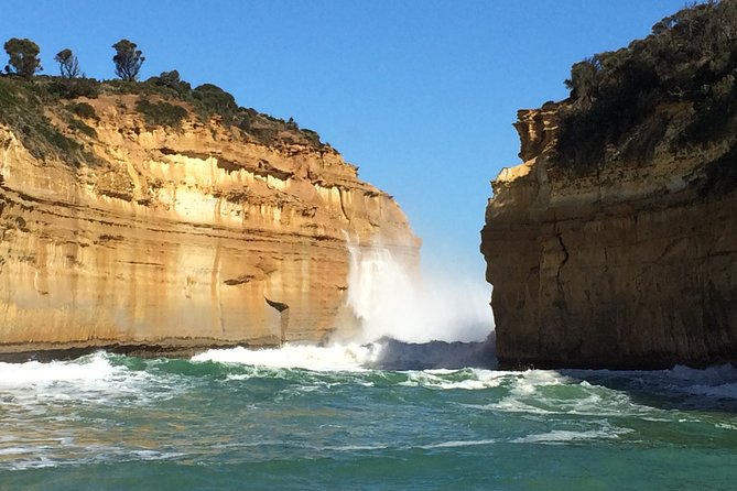 [PRIVATE TOUR] Express Great Ocean Road Day Trip - Customization Options