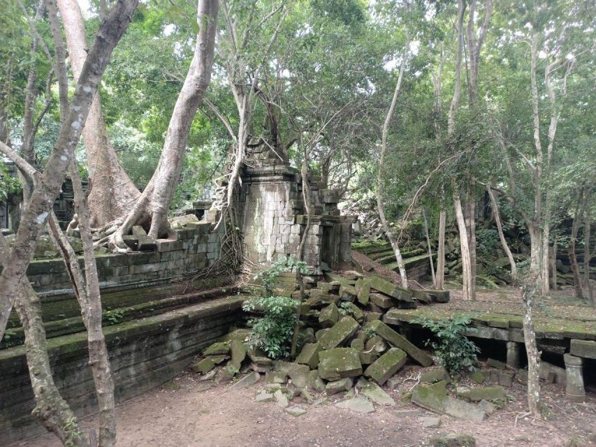 Private Tour From Siem Reap to Koh Ker, Beng Mealea Temple - Logistics and Accessibility Details