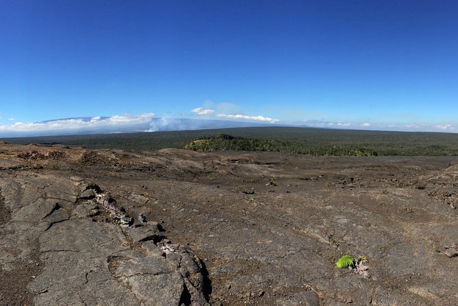 Private Tour: Hawaii Volcanoes National Park Eco Tour - Guide Expertise and Insights