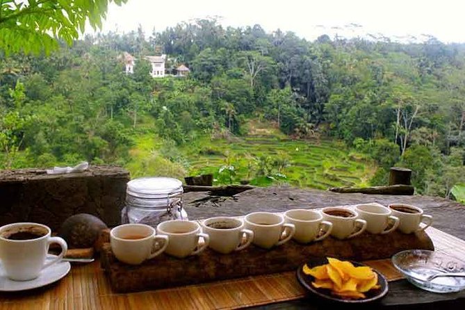 Private Tour: Jatiluwih Rice Terrace,Ulun Danu and Banyu Mala Waterfall Tour - Additional Info