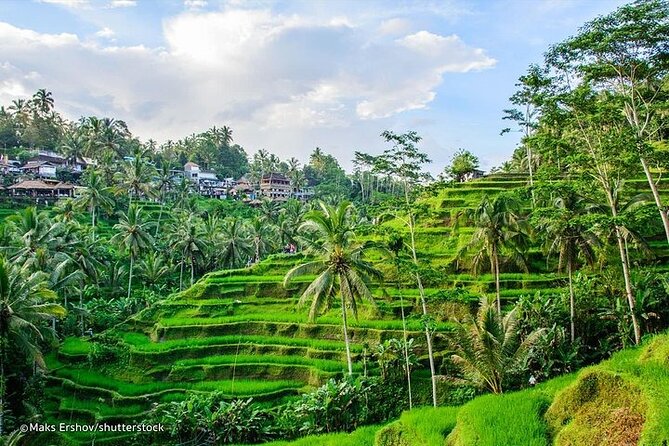 Private Tour : Mt. Batur View, Rice Terrace, Waterfall & More. - Accessibility Information