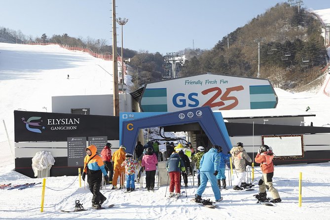 [Private Tour] Nami Island & Ski (Ski Lesson, Equip & Clothing Included) - Additional Information