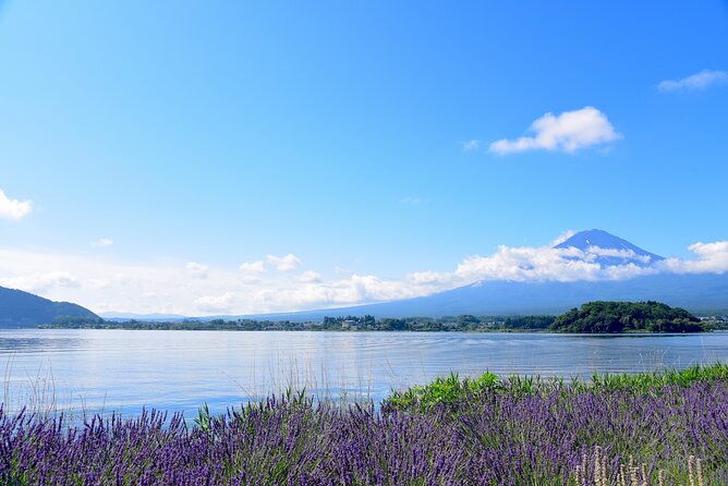 Private Tour to Mt Fuji, Lake Kawaguchi With Limousine and Driver - Exclusive Tour Experience Benefits