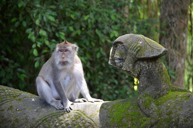 Private Tour: Ubud Day Tour With Traditional Offering Lesson - Culinary Experience