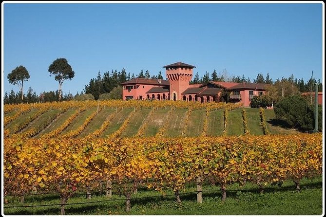 Private Tour: Winter Wine and Scenic Delights Tour From Picton - Sum Up