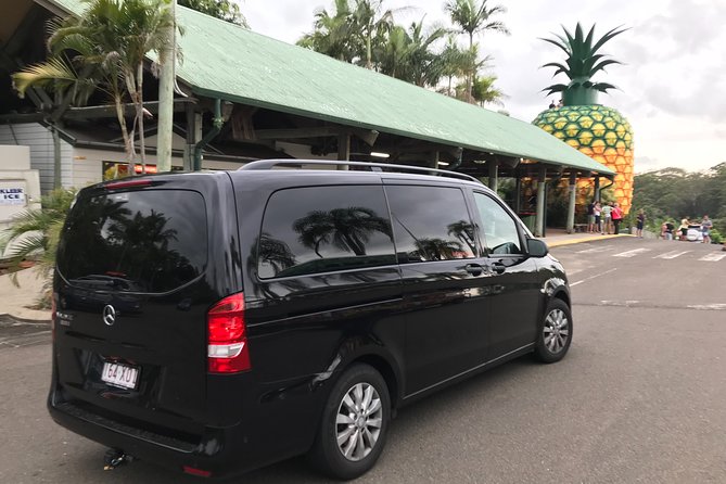 Private Transfer From Brisbane Airport to Noosa for 1 to 3 People - Reviews
