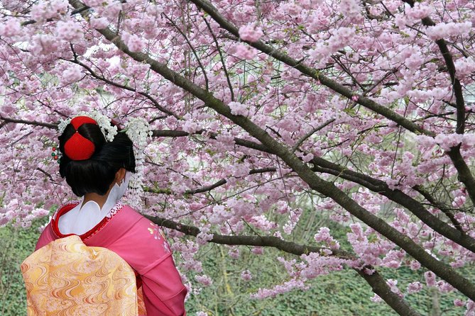 Private & Unique Tokyo Cherry Blossom "Sakura" Experience - Traveler Testimonials