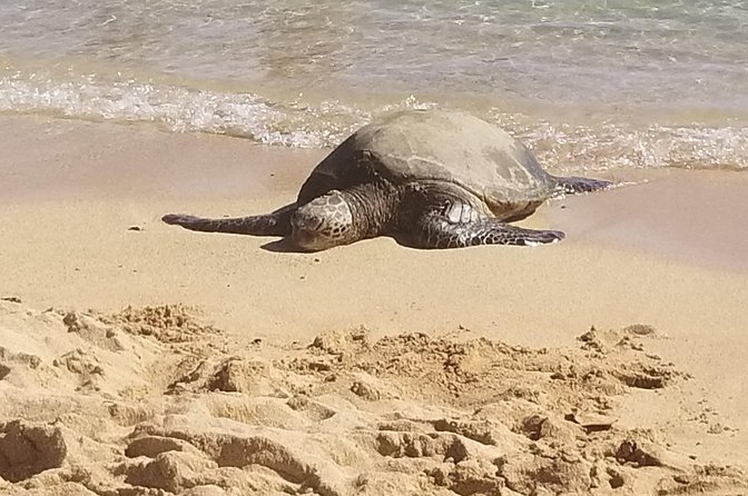 Private Waimea Canyon Tour - Product Details