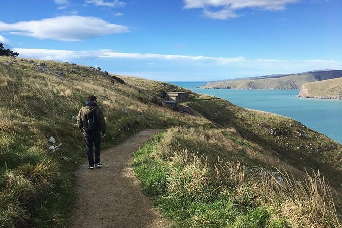 Private Walking Tour From Christchurch - Lyttelton & Godley Head - Additional Information Provided