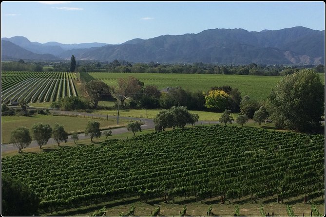 Private Wine Gourmet and Scenic Delights Tour From Picton - Booking Details