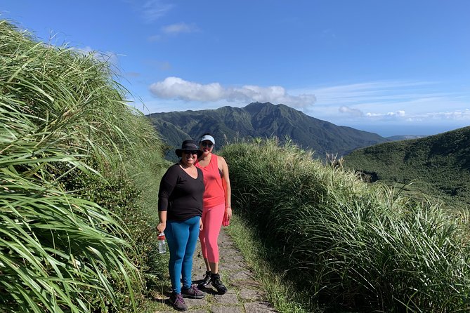 Private Yangmingshan Volcano Tour - Pricing, Inclusions, and Booking Details